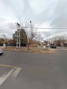 Biking entre viñedos, diversión asegurada